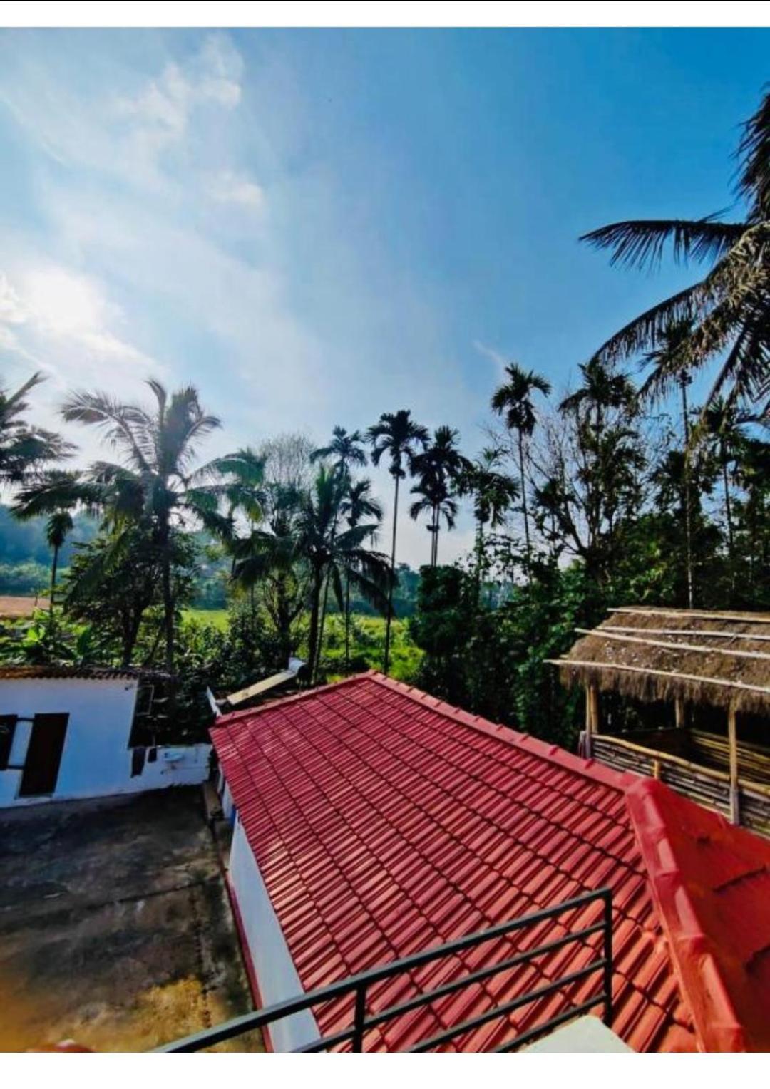 Streaming Valley Independent Coffee Estate Stay ماديكيري المظهر الخارجي الصورة